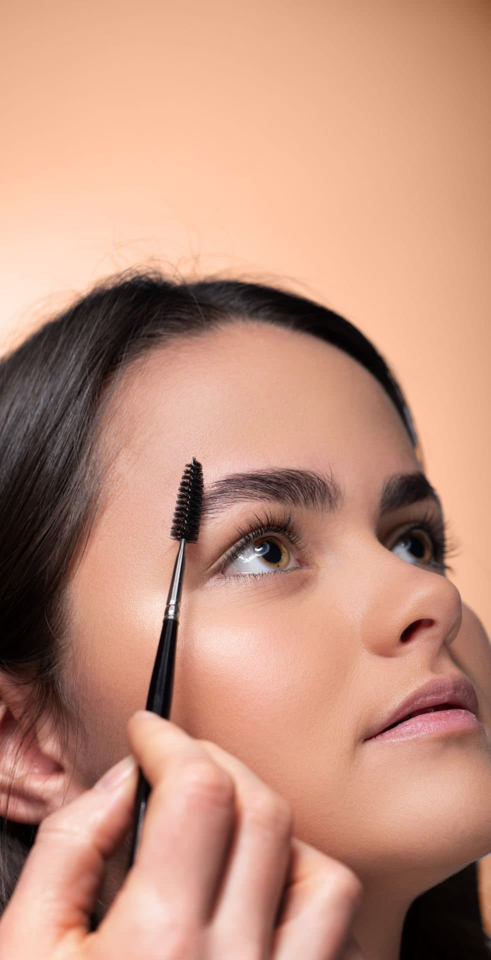 Browlift : sourcils redressés et peignés